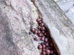 -道教老君洞