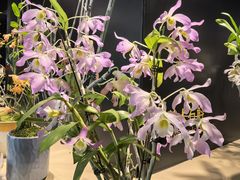 -北京植物园-展览温室