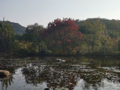 -白马涧龙池景区