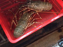 -班赞海鲜市场
