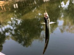 -酷鱼垂钓CLUB(朝阳区博大路店 )