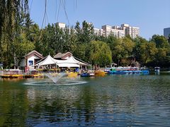 -莲湖公园