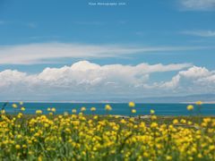 -青海湖国家重点风景名胜区