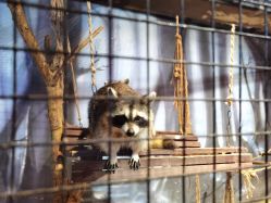 -酷嗒动物文化乐园(cutezoo西溪乐天城店)