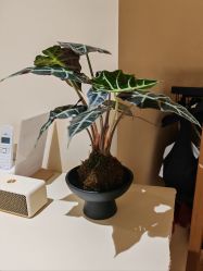 -阿南达·瑜伽普拉提·阿育吠陀疗愈中心