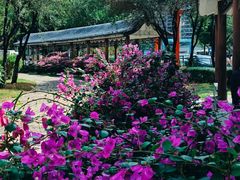 -飞来湖湿地公园