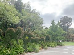 -墨尔本皇家植物园