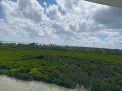 -东寨港红树林旅游区