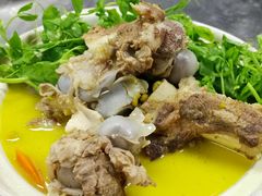 -河畔春天时尚餐厅