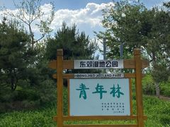 -东郊湿地公园