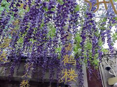 -天津意大利风情旅游区
