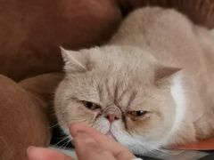 -平行世界·猫咖(首经贸店)