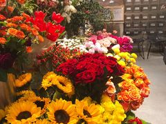 -植物学家的女儿(北马道巷店)