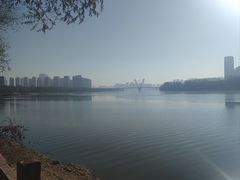 -白玉兰商务酒店(沈阳陆军总院店)