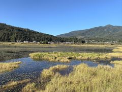 -腾冲北海湿地