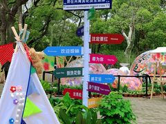 -上海共青森林公园