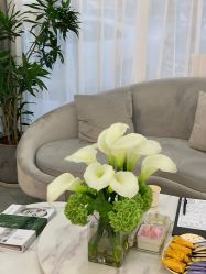 -柒朵科技美肤中心