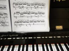 -知音艺术教育培训·钢琴培训·音乐培训(河西金鹰世界校区)