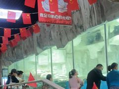 -华夏文旅海洋公园