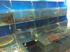 -晓琦农家菜馆·地道农家菜