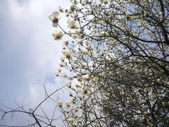 -邓小平故里