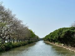 -大湾区中央湿地公园