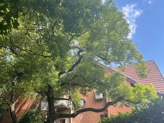 -巴金故居