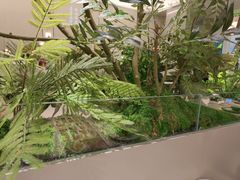 -绿茶餐厅(领展购物广场·中关村店)