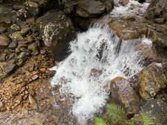 -姑婆山旅游区