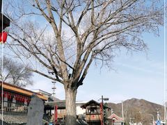 -百花人家(清水镇店)