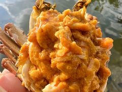 -小陆莲花蟹园农家乐(莲花岛店)