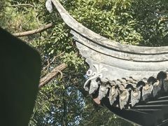 -秋霞圃