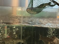 -湘知湘味(岳麓山店)