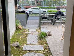 -山野咖啡(之江花园店)