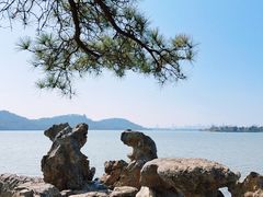-东湖落雁景区
