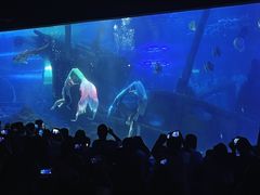 -江和美海洋公园