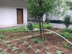 -柞水乾佑红门家菜