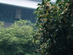 -浙江省博物馆(孤山馆区)