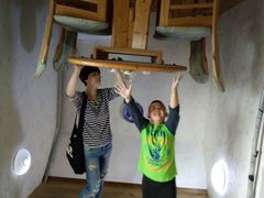 -金山农民画村-枫泾波兰倒置屋