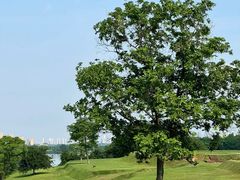 -盘龙城国家考古遗址公园