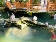 -南宫五洲植物乐园