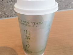 -雾与山茶(大禹城店)