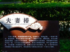 -洛阳周公庙博物馆