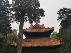 -孔府