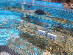 -晓伟海鲜家常菜