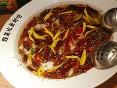 老坛子酸菜鱼-新太二·鲜料川菜(群光广场店)