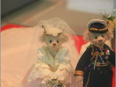 -济州岛泰迪熊博物馆