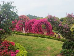 -东莞植物园