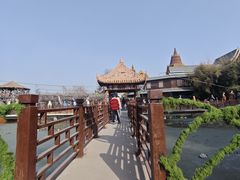 -呀路古热带植物园