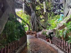 -横店影视城梦幻谷园区